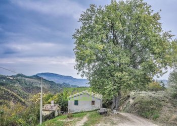 Foto 41 - Rustico Contrada Polica Vecchia, Comunanza - foto 41