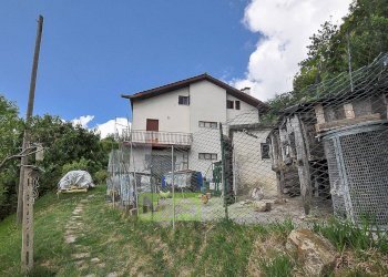 Foto 14 - Casa indipendente Contrada Montetorre, Force - foto 14