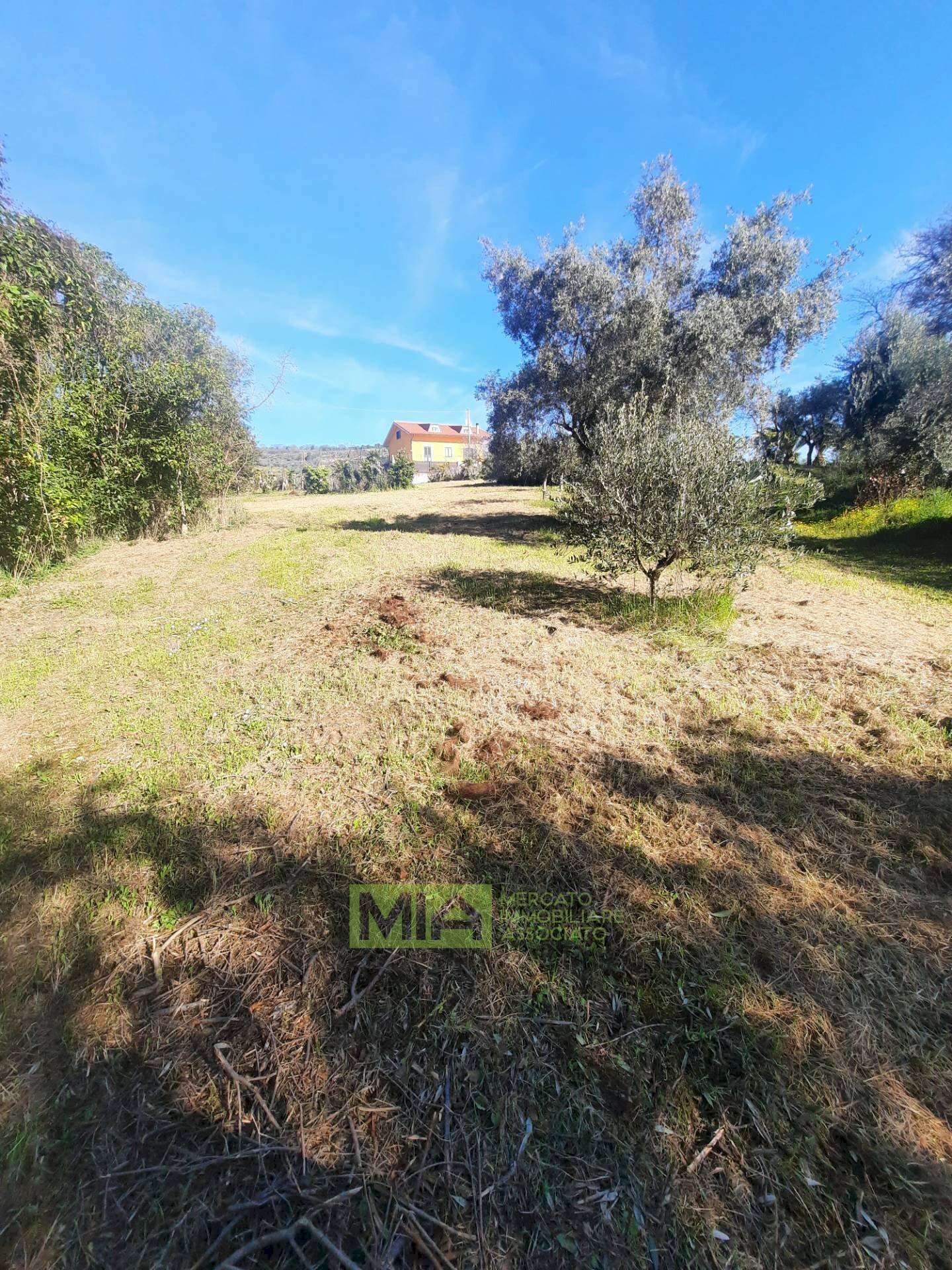 Foto 1 - Terreno edificabile c.da Carbuccio
 
snc, Altidona - foto 1