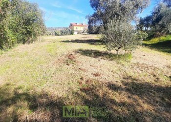 Foto 1 - Terreno edificabile c.da Carbuccio
snc, Altidona - foto 1