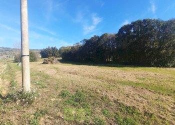 Foto 3 - Terreno edificabile c.da Carbuccio
snc, Altidona - foto 3