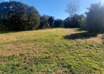 Foto 4 - Terreno edificabile c.da Carbuccio
snc, Altidona - foto 4