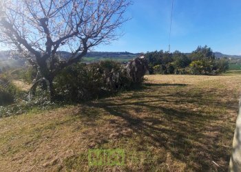 Foto 10 - Terreno edificabile c.da Carbuccio
snc, Altidona - foto 10