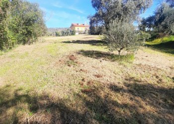 Foto 1 - Building land c.da Carbuccio
 
snc, Altidona - photo 1