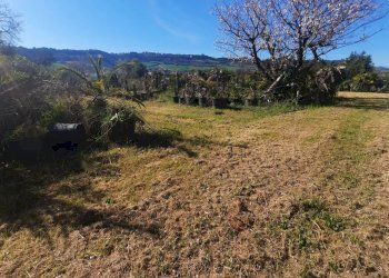 Foto 11 - Building land c.da Carbuccio
 
snc, Altidona - photo 11