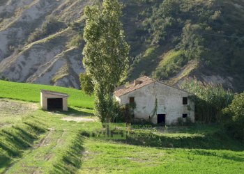 Foto 9 - Rustico Contrada Fonterrante
 
snc, Monterubbiano - foto 9