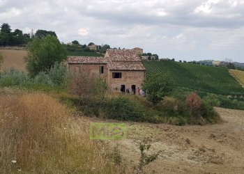Foto 11 - Rustico via Case Rosse
 
snc, Montedinove - foto 11