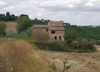 Foto 12 - Rustico via Case Rosse
 
snc, Montedinove - foto 12