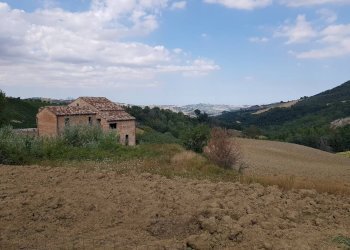 Foto 13 - Rustico via Case Rosse
 
snc, Montedinove - foto 13