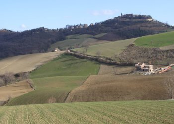 Foto 16 - Rustico via Case Rosse
 
snc, Montedinove - foto 16