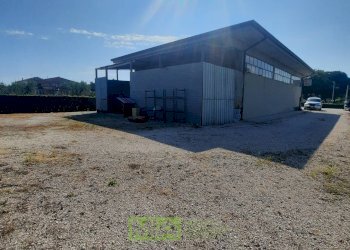 Foto 3 - Laboratorio c.da Carbuccio
 
snc, Altidona - foto 3