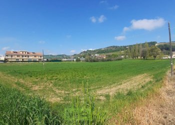 Foto 6 - Laboratorio c.da Carbuccio
 
snc, Altidona - foto 6