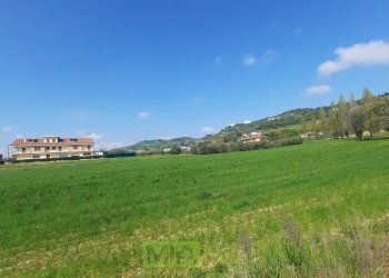 Foto 8 - Laboratorio c.da Carbuccio
 
snc, Altidona - foto 8