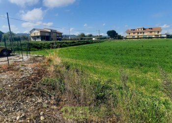 Foto 9 - Laboratorio c.da Carbuccio
 
snc, Altidona - foto 9