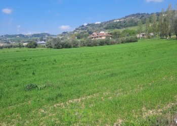 Foto 12 - Laboratorio c.da Carbuccio
 
snc, Altidona - foto 12