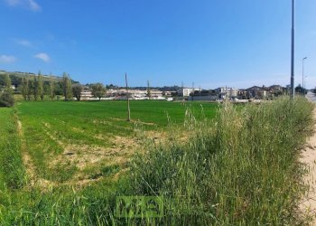 Foto 13 - Laboratorio c.da Carbuccio
 
snc, Altidona - foto 13