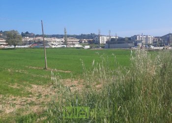 Foto 14 - Laboratorio c.da Carbuccio
 
snc, Altidona - foto 14