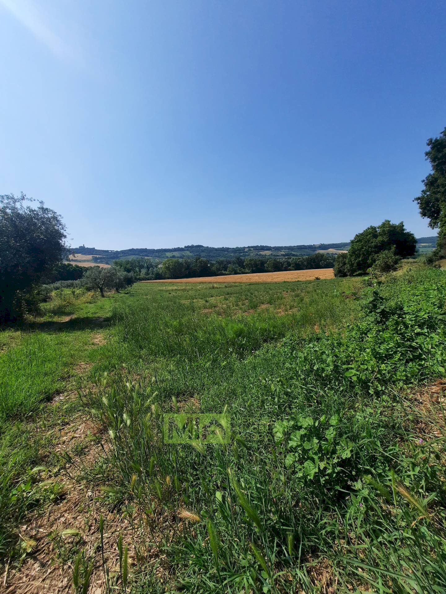Foto 1 - Terreno agricolo Contrada Svarchi
 
21, Altidona - foto 1