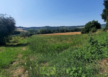 Foto 1 - Terreno agricolo Contrada Svarchi
 
21, Altidona - foto 1