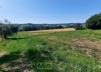 Foto 5 - Terreno agricolo Contrada Svarchi
 
21, Altidona - foto 5