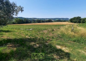 Foto 6 - Terreno agricolo Contrada Svarchi
 
21, Altidona - foto 6