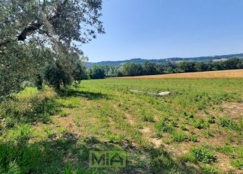 Foto 7 - Terreno agricolo Contrada Svarchi
 
21, Altidona - foto 7