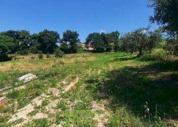 Foto 8 - Terreno agricolo Contrada Svarchi
 
21, Altidona - foto 8