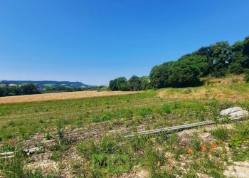 Foto 9 - Terreno agricolo Contrada Svarchi
 
21, Altidona - foto 9