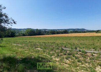 Foto 10 - Terreno agricolo Contrada Svarchi
 
21, Altidona - foto 10