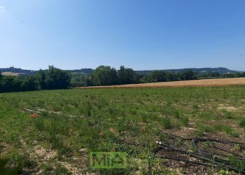 Foto 11 - Terreno agricolo Contrada Svarchi
 
21, Altidona - foto 11