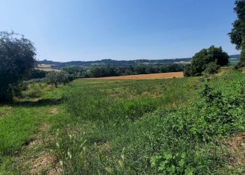 Foto 1 - Terreno agricolo Contrada Svarchi
 
21, Altidona - foto 1