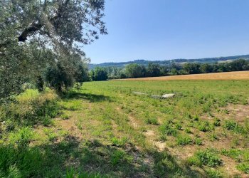 Foto 7 - Terreno agricolo Contrada Svarchi
 
21, Altidona - foto 7