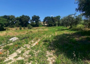 Foto 8 - Terreno agricolo Contrada Svarchi
 
21, Altidona - foto 8