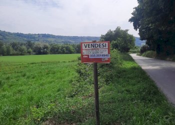 Foto 13 - Agricultural land Contrada Svarchi
 
21, Altidona - photo 13