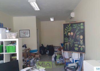 Foto 5 - Locale Commerciale via Leonardo da Vinci
 
snc, Altidona - foto 5