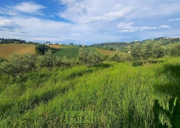 Foto 5 - Terreno agricolo C.da Leandra
 
snc, Montegranaro - foto 5