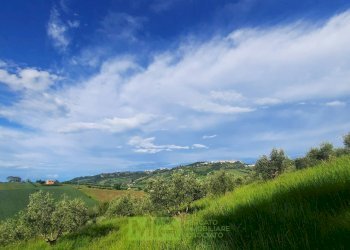Foto 6 - Terreno agricolo C.da Leandra
 
snc, Montegranaro - foto 6