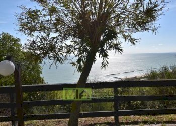 Foto 1 - Attività Commerciale via Belvedere
snc, Pedaso - foto 1