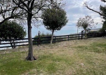 Foto 12 - Commercial Activity via Belvedere
 
snc, Pedaso - photo 12