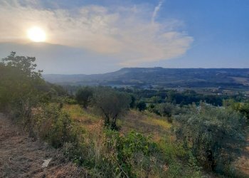 Foto 17 - Rustic C.da Aso
 
119, Montefiore dell'Aso - photo 17