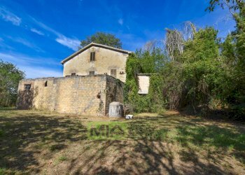 Foto 5 - Rustico Contrada Franile, Montedinove - foto 5