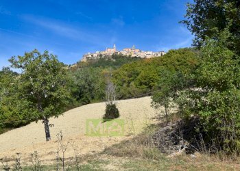 Foto 6 - Rustico Contrada Franile, Montedinove - foto 6