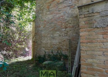 Foto 8 - Rustico Contrada Franile, Montedinove - foto 8