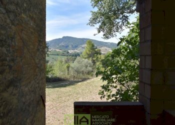 Foto 11 - Rustico Contrada Franile, Montedinove - foto 11