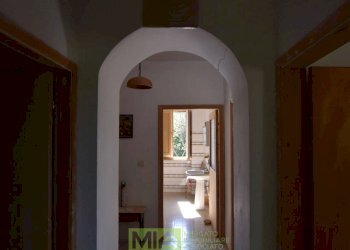 Foto 16 - Rustico Contrada Franile, Montedinove - foto 16