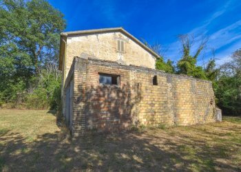 Foto 4 - Rustico Contrada Franile, Montedinove - foto 4