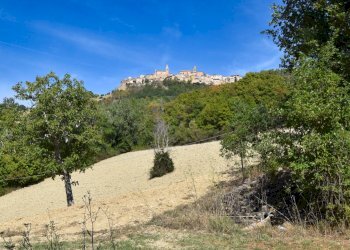Foto 6 - Rustico Contrada Franile, Montedinove - foto 6