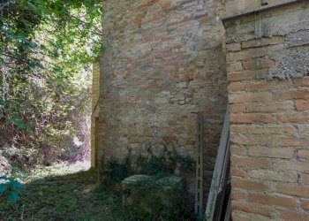 Foto 8 - Rustico Contrada Franile, Montedinove - foto 8