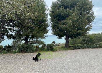 Foto 34 - Independent house C.da Montecantino
 
30, Massignano - photo 34