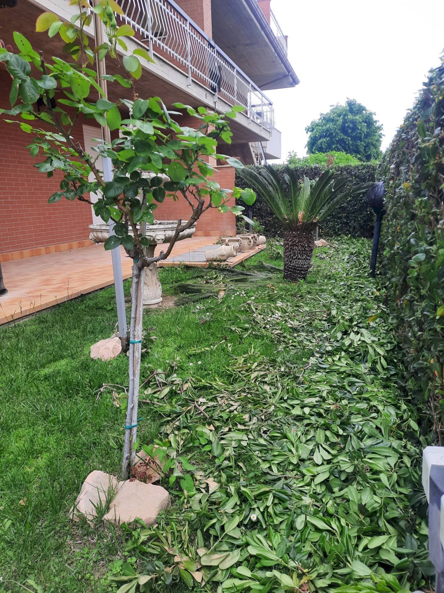 Foto 3 - Trilocale Via De Gasperi
8, Altidona - foto 3